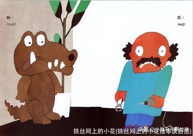 铁丝网上的小花(铁丝网上的小花绘本读后感)