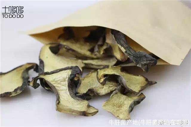 牛肝菌产地(牛肝菌产地在哪里)