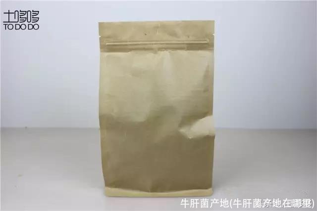 牛肝菌产地(牛肝菌产地在哪里)