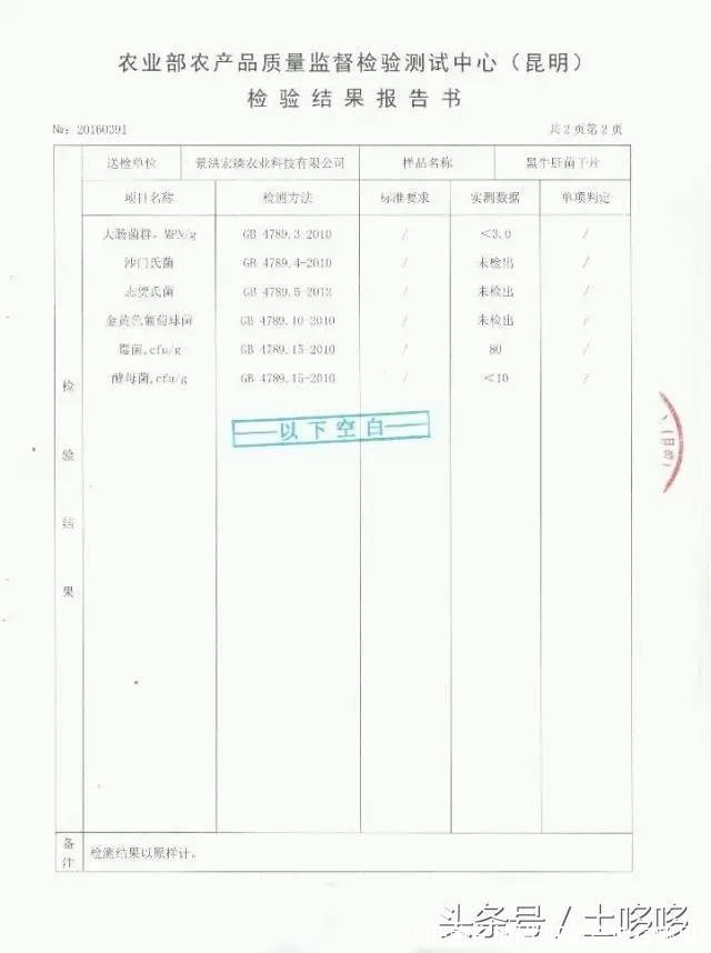 牛肝菌产地(牛肝菌产地在哪里)