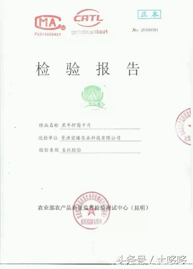 牛肝菌产地(牛肝菌产地在哪里)