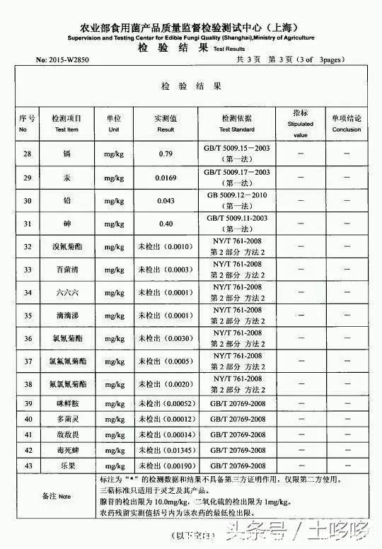 牛肝菌产地(牛肝菌产地在哪里)