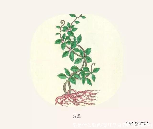 皂是什么颜色(青红皂白皂是什么颜色)