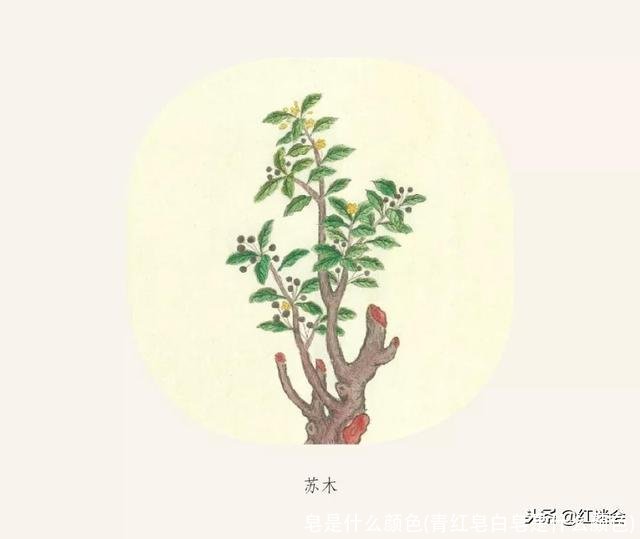 皂是什么颜色(青红皂白皂是什么颜色)