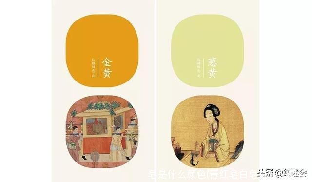 皂是什么颜色(青红皂白皂是什么颜色)