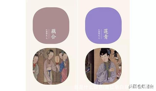 皂是什么颜色(青红皂白皂是什么颜色)