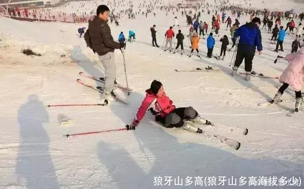 狼牙山多高(狼牙山多高海拔多少)