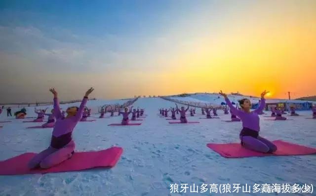 狼牙山多高(狼牙山多高海拔多少)