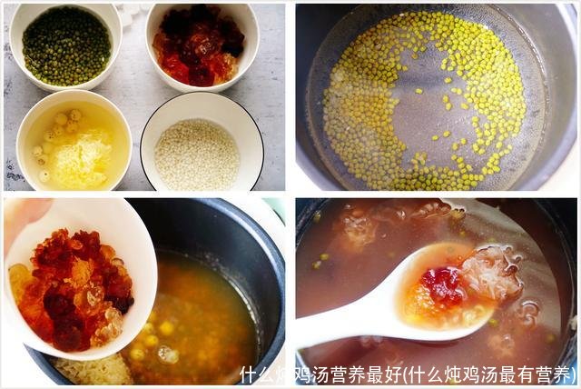 什么炖鸡汤营养最好(什么炖鸡汤最有营养)