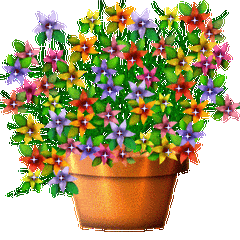 9999999(9999999视频)