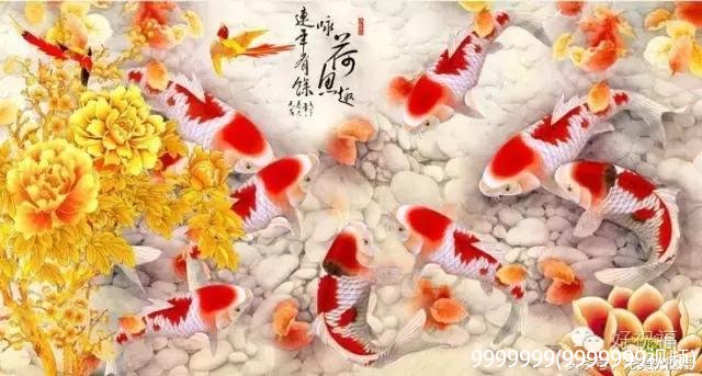 9999999(9999999视频)