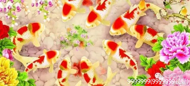 9999999(9999999视频)