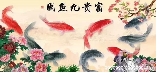 9999999(9999999视频)