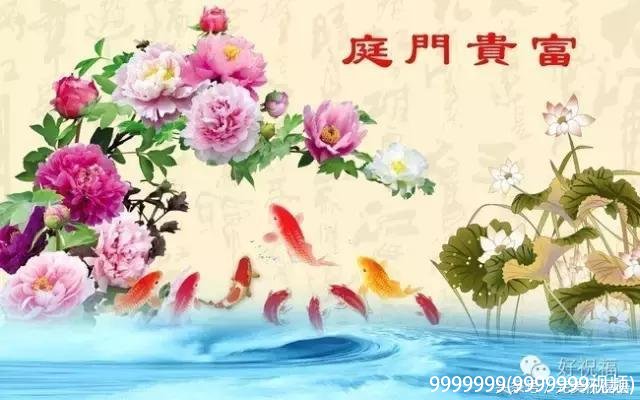 9999999(9999999视频)