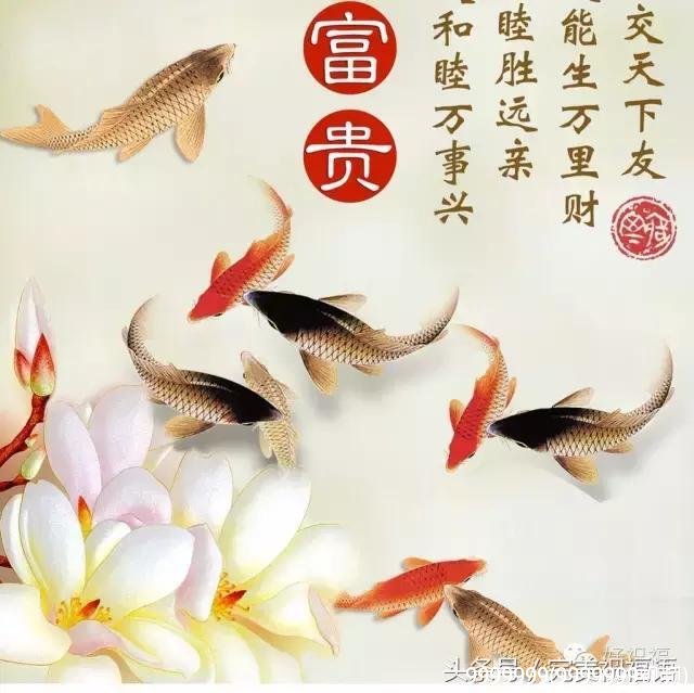 9999999(9999999视频)