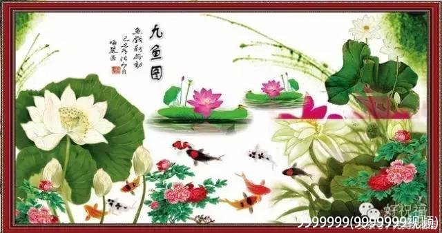 9999999(9999999视频)