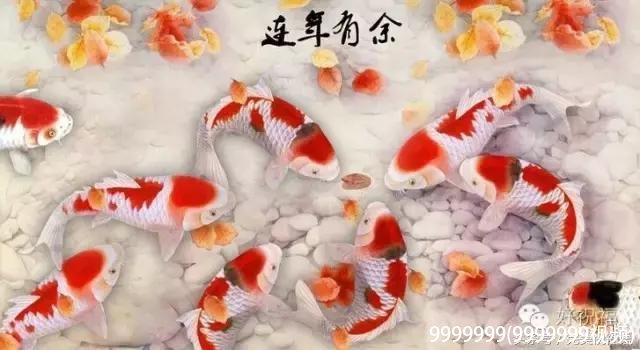 9999999(9999999视频)