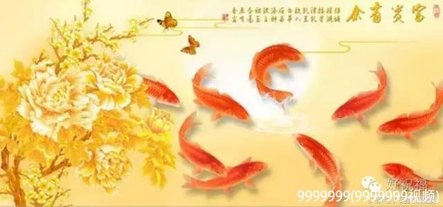 9999999(9999999视频)