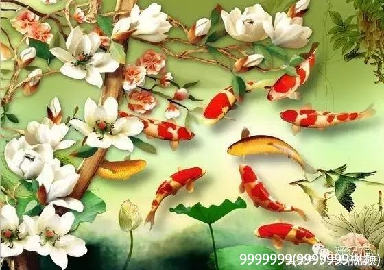 9999999(9999999视频)