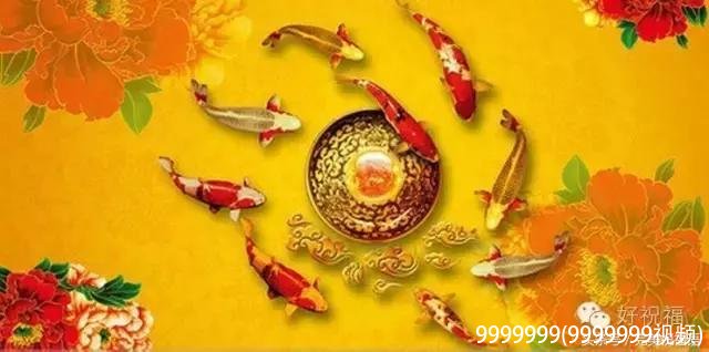 9999999(9999999视频)