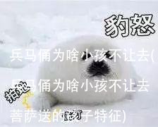 兵马俑为啥小孩不让去(兵马俑为啥小孩不让去菩萨送的孩子特征)