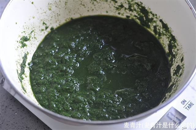 麦青汁(麦青汁是什么做的)