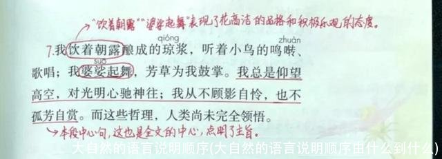 大自然的语言说明顺序(大自然的语言说明顺序由什么到什么)