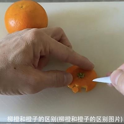 柳橙和橙子的区别(柳橙和橙子的区别图片)