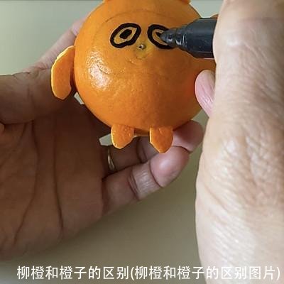 柳橙和橙子的区别(柳橙和橙子的区别图片)