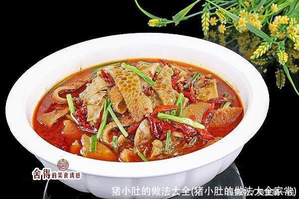 猪小肚的做法大全(猪小肚的做法大全家常)