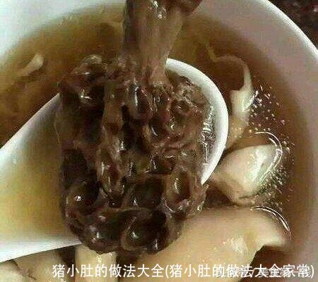 猪小肚的做法大全(猪小肚的做法大全家常)