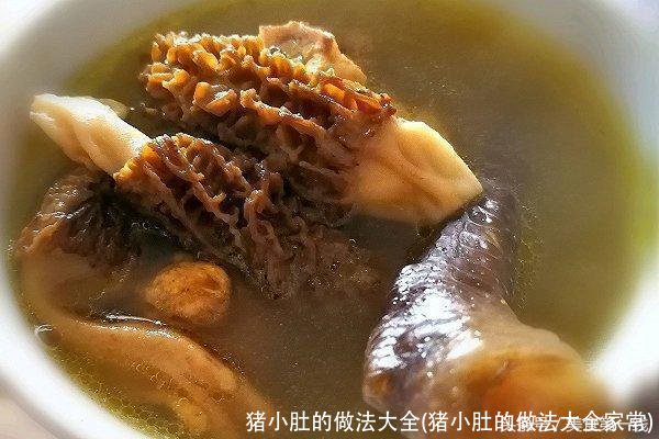 猪小肚的做法大全(猪小肚的做法大全家常)