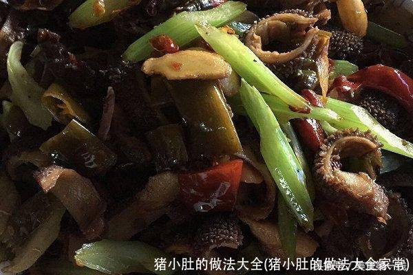 猪小肚的做法大全(猪小肚的做法大全家常)