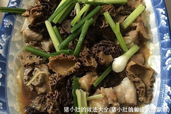 猪小肚的做法大全(猪小肚的做法大全家常)