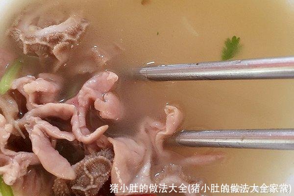 猪小肚的做法大全(猪小肚的做法大全家常)