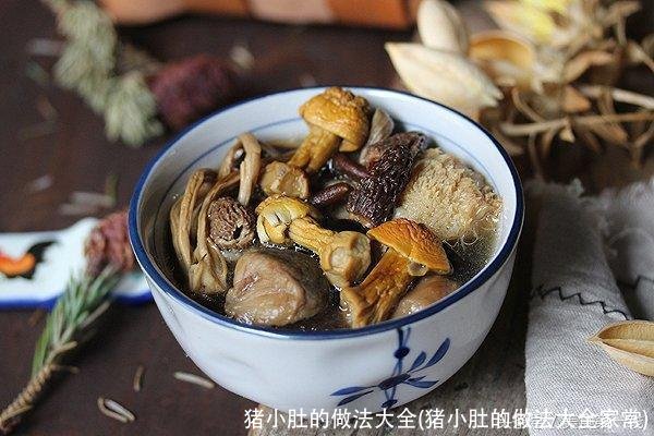 猪小肚的做法大全(猪小肚的做法大全家常)