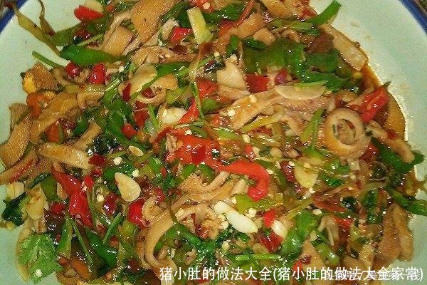 猪小肚的做法大全(猪小肚的做法大全家常)