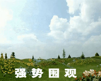 制作动态表情包(制作动态表情包的软件)