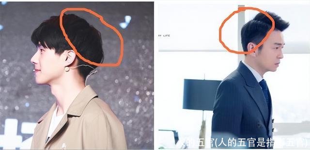 人的五官(人的五官是指哪五官)