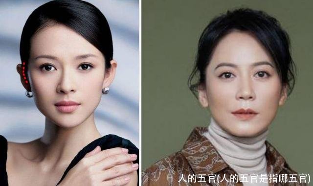 人的五官(人的五官是指哪五官)