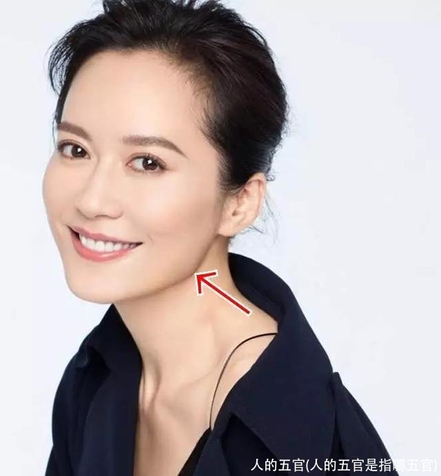人的五官(人的五官是指哪五官)