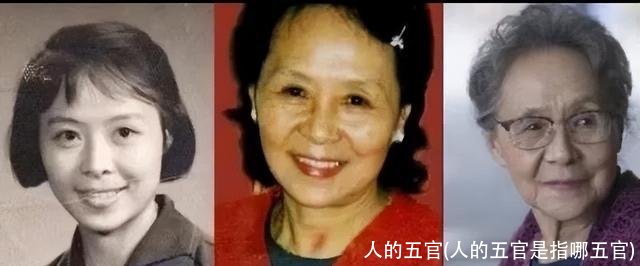 人的五官(人的五官是指哪五官)