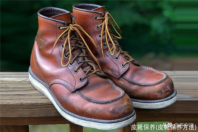 皮靴保养(皮靴保养方法)