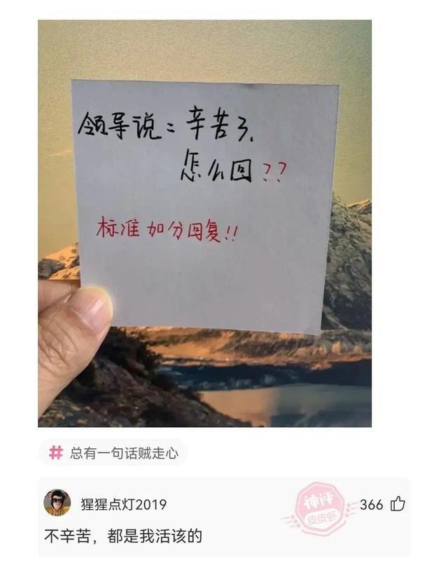 四大民族是哪四个(四大民族是哪四个为什么招工不要)