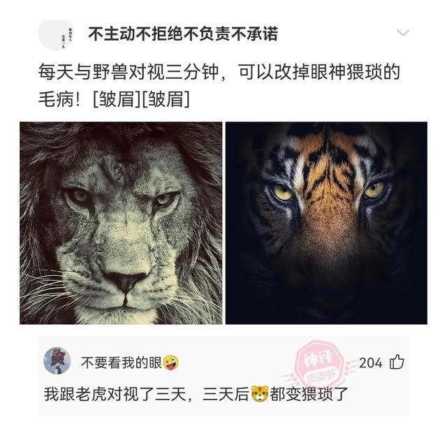 四大民族是哪四个(四大民族是哪四个为什么招工不要)