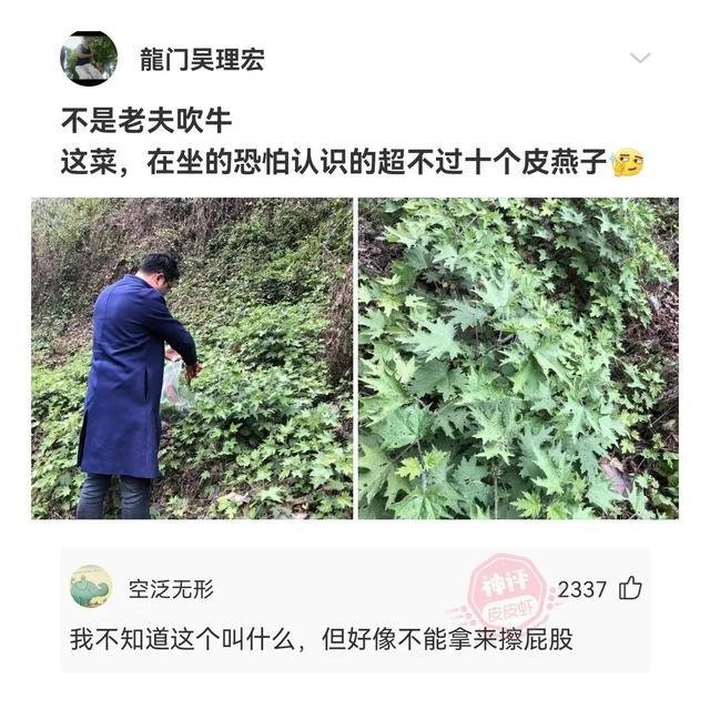 四大民族是哪四个(四大民族是哪四个为什么招工不要)