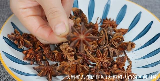 大料和八角的区别(大料和八角的区别图片)