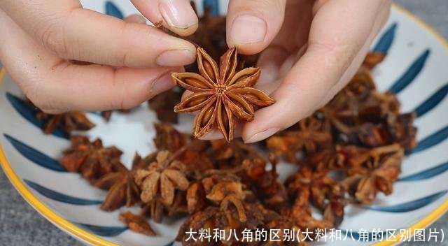 大料和八角的区别(大料和八角的区别图片)