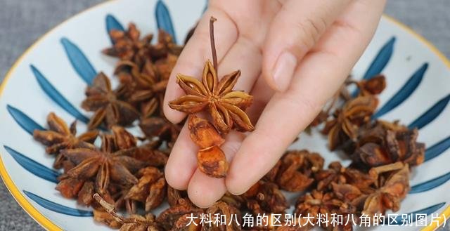 大料和八角的区别(大料和八角的区别图片)