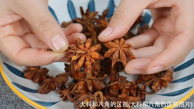 大料和八角的区别(大料和八角的区别图片)